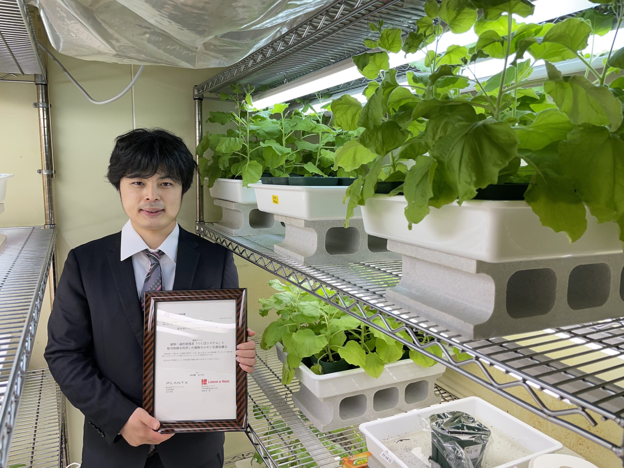 第50回リバネス研究費 プランテックス賞採択者「植物による高機能物質生産により食農産業に革新を」野崎 翔平さん
